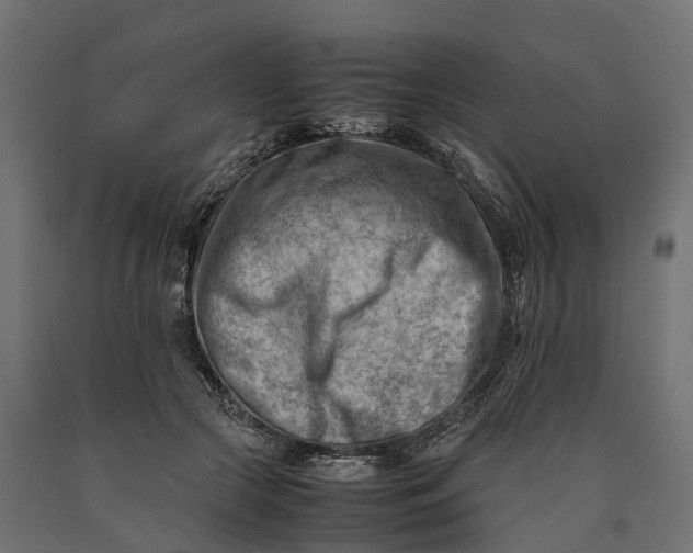 X0000090430553200708031132
