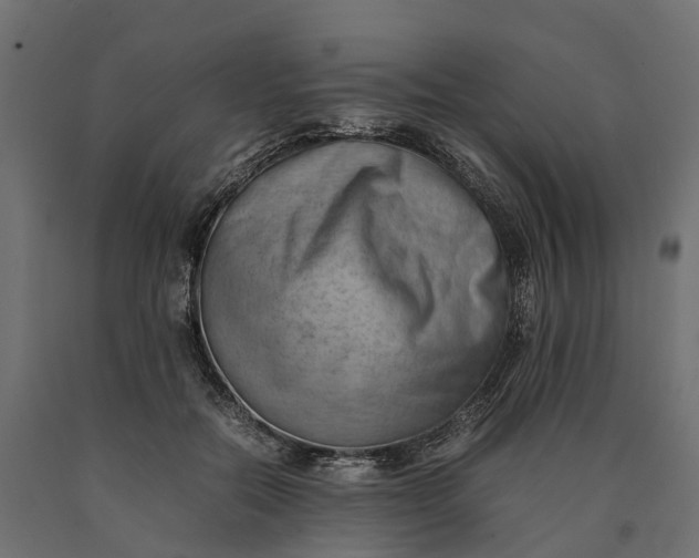 X0000090430554200708031132