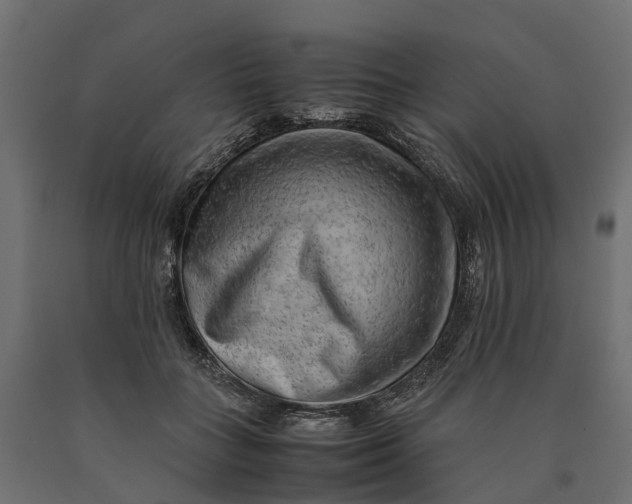 X0000090430555200708031132