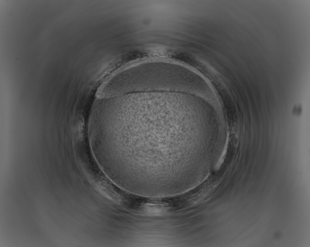 X0000090430556200708031132