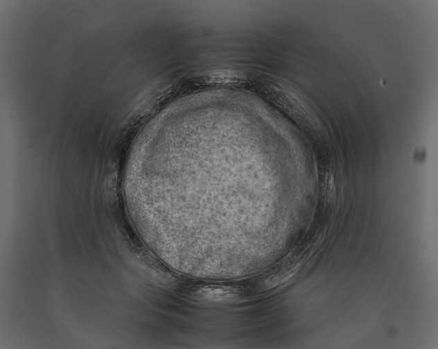 X0000090430557200708031132