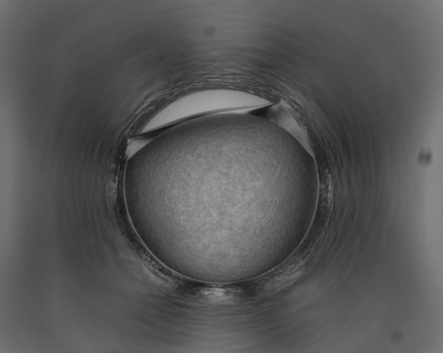 X0000090430558200708031132