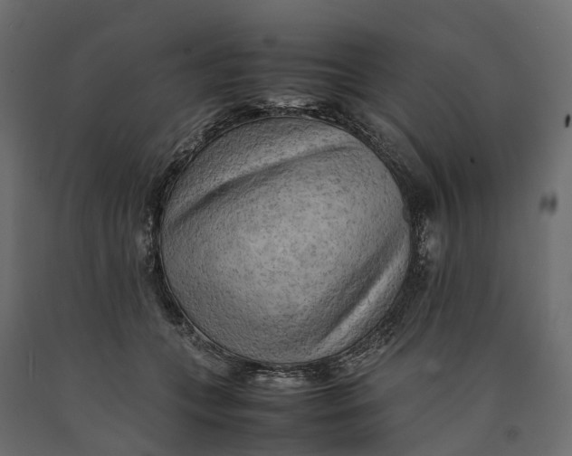X0000090430559200708031132