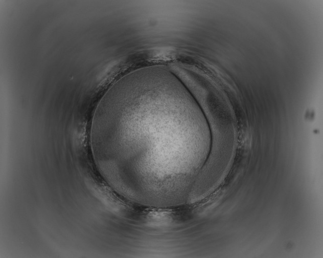 X0000090430560200708031132