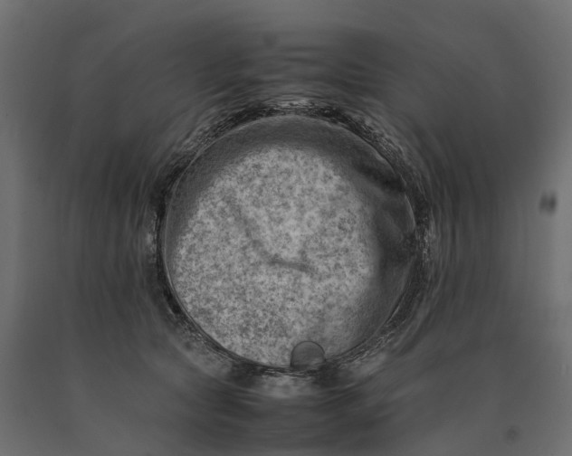X0000090430561200708031132