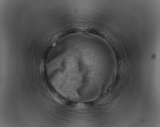 X0000090430562200708031132