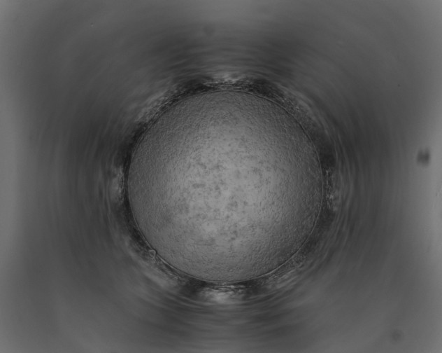 X0000090430563200708031132