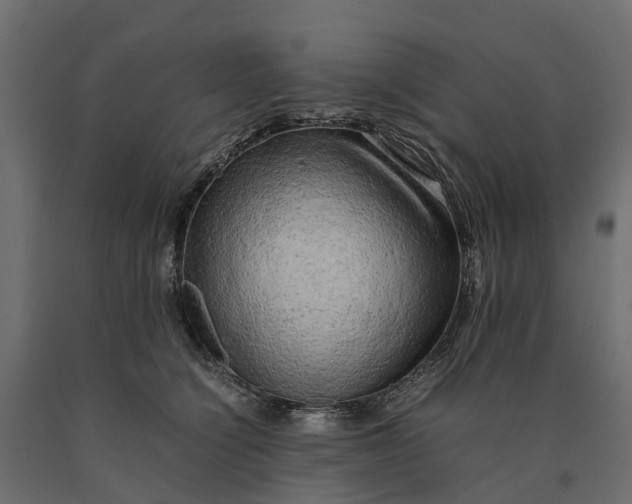 X0000090430564200708031132