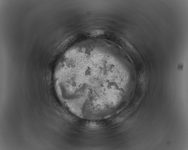 X0000090430565200708031132