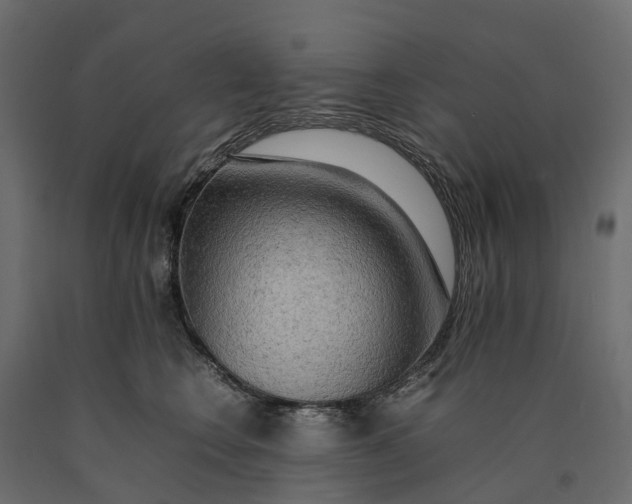 X0000090430566200708031132