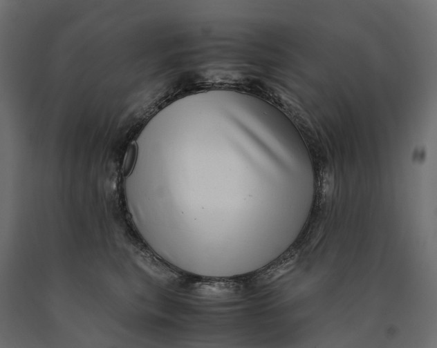 X0000090430567200708031132