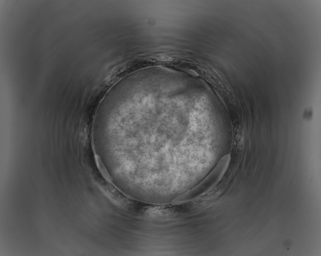 X0000090430568200708031132