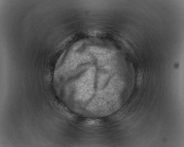 X0000090430569200708031132