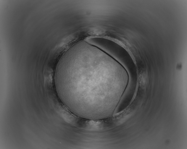 X0000090430570200708031132