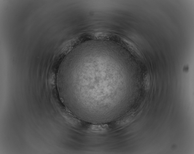 X0000090430571200708031132