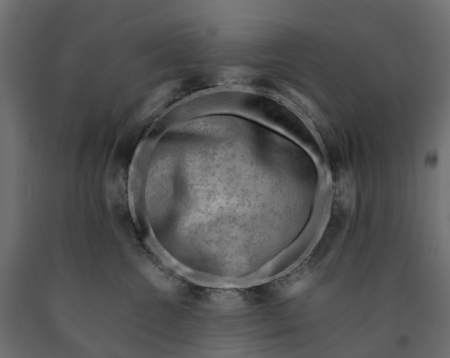X0000090430572200708031132