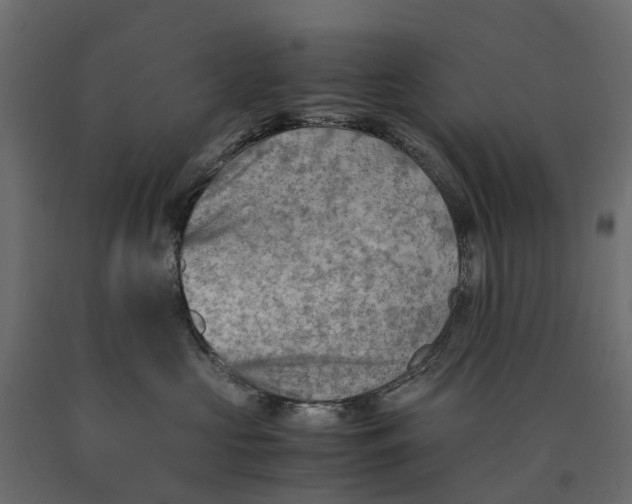 X0000090430573200708031132