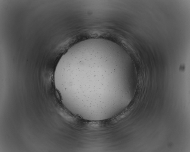 X0000090430574200708031132