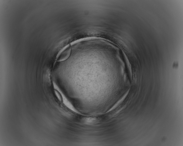 X0000090430575200708031132
