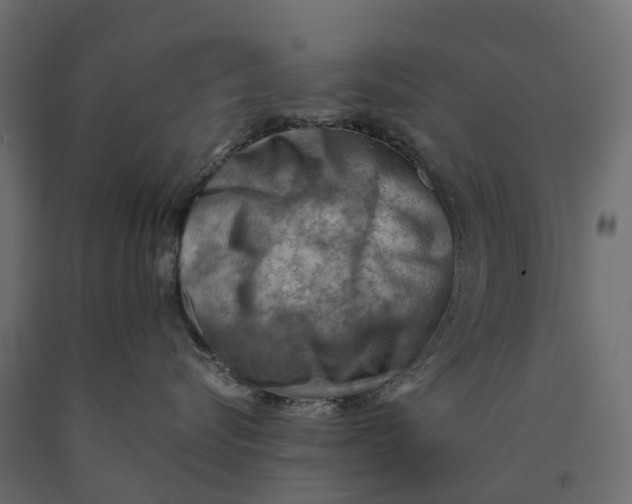 X0000090430576200708031132