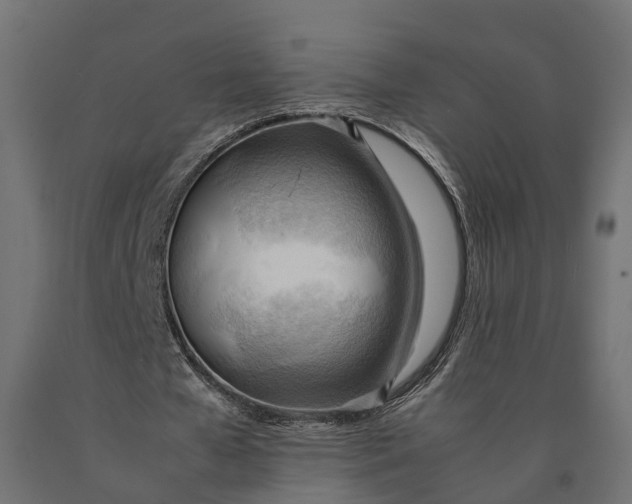 X0000090430577200708031131