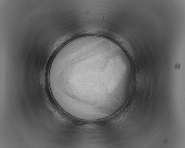 X0000090430578200708031131