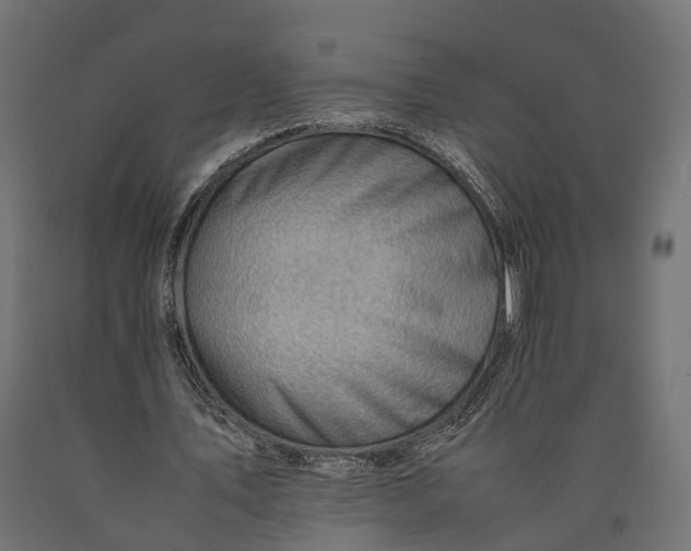 X0000090430579200708031131