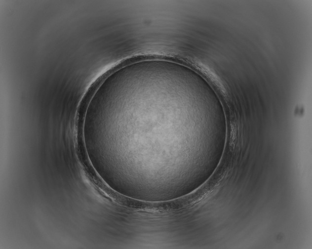 X0000090430580200708031131