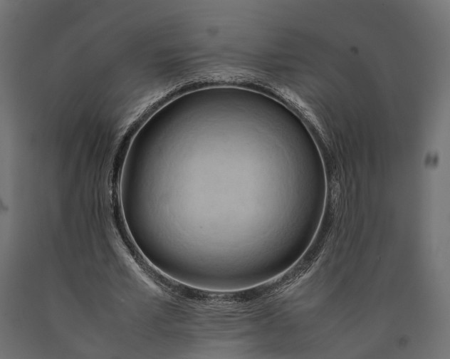 X0000090430581200708031131