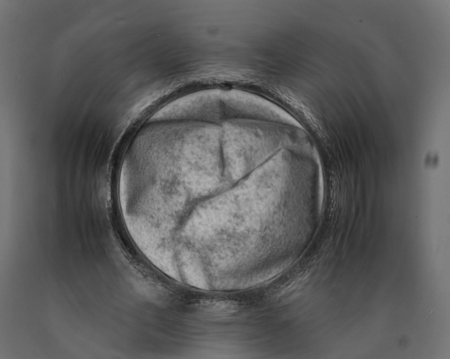 X0000090430582200708031131