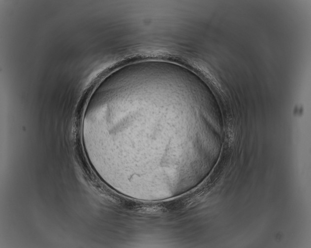 X0000090430583200708031131