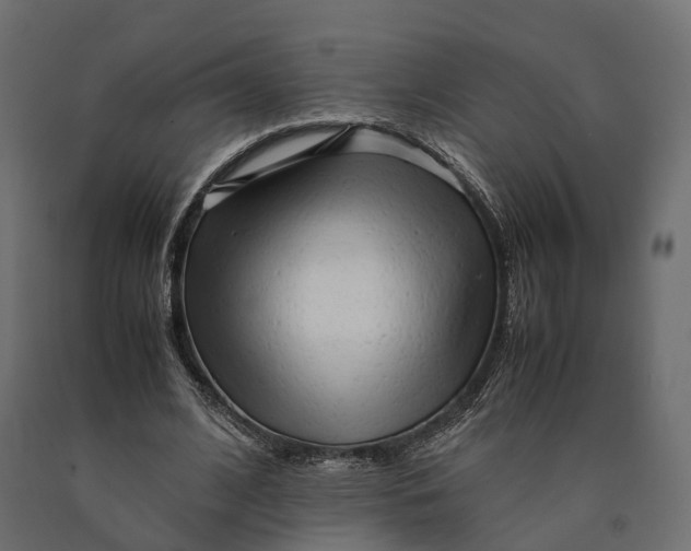 X0000090430584200708031131