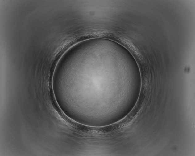 X0000090430585200708031131