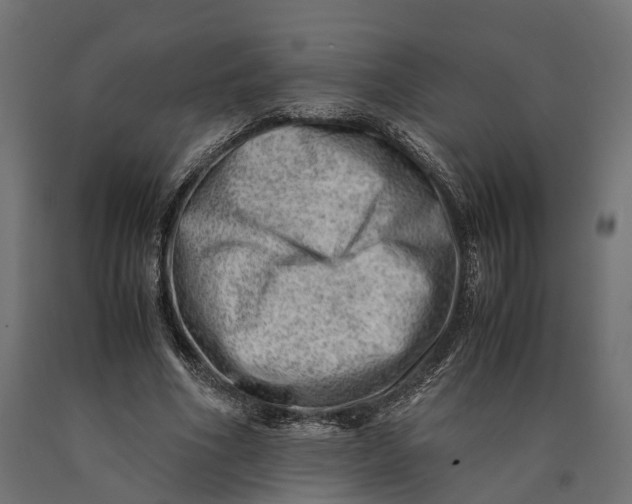 X0000090430586200708031131