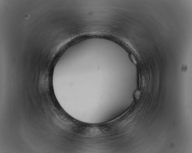 X0000090430588200708031131