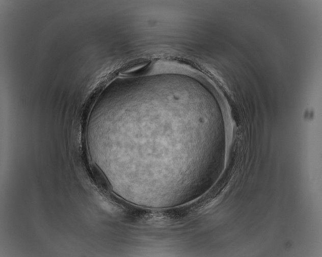 X0000090430589200708031131