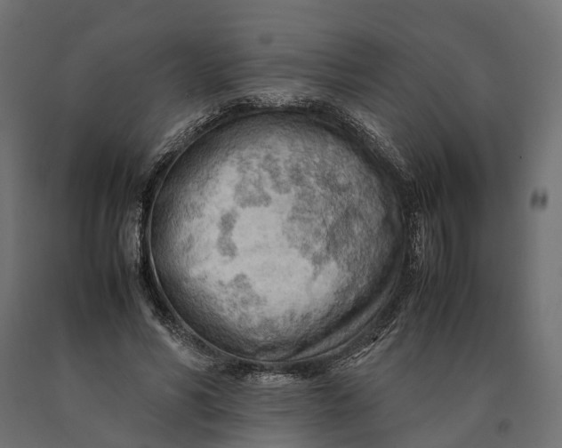 X0000090430590200708031131