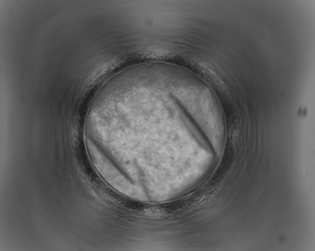X0000090430591200708031131