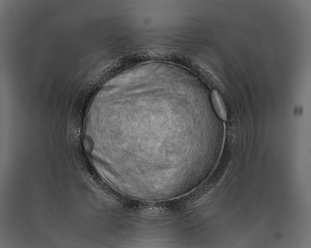 X0000090430593200708031131