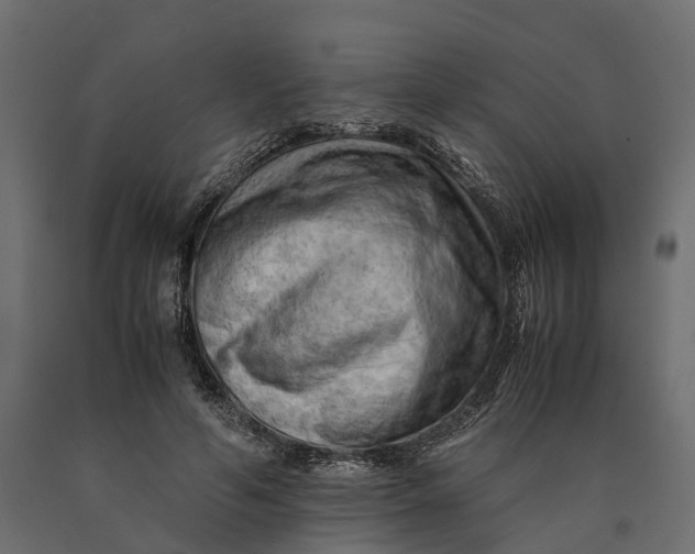 X0000090430594200708031131