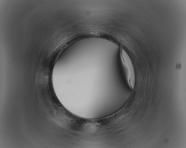 X0000090430595200708031131