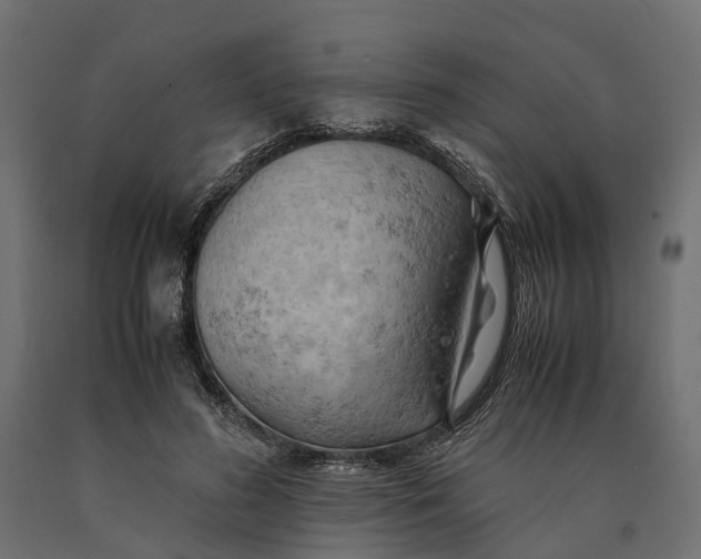 X0000090430596200708031131
