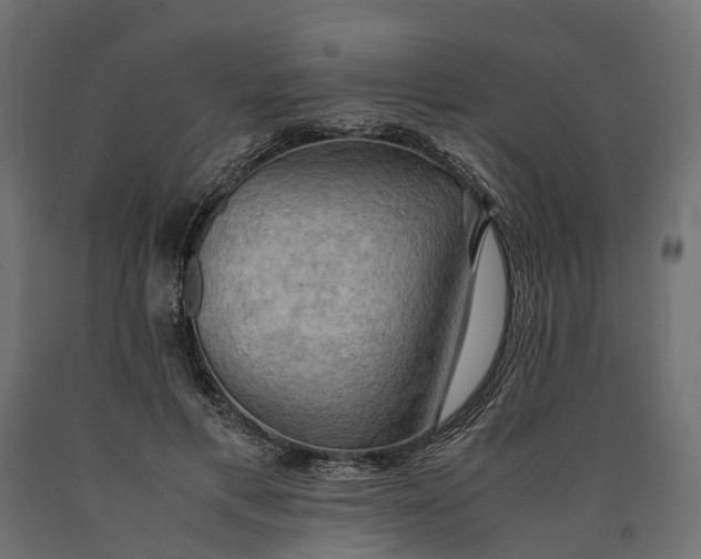 X0000090430597200708031131