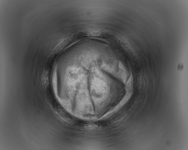 X0000090430598200708031131