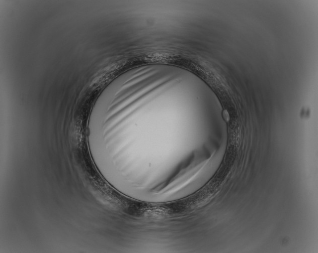 X0000090430599200708031131