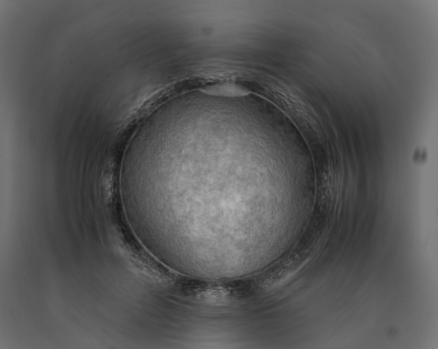 X0000090430600200708031131