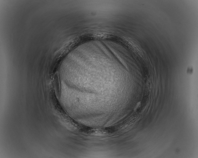 X0000090430601200708031131