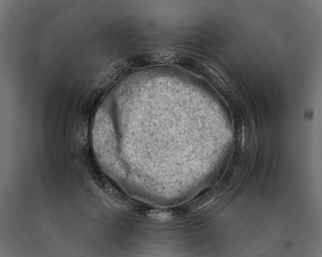 X0000090430602200708031131