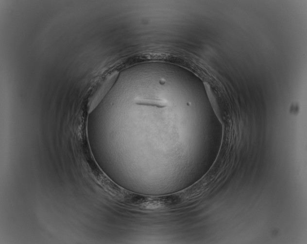 X0000090430604200708031131