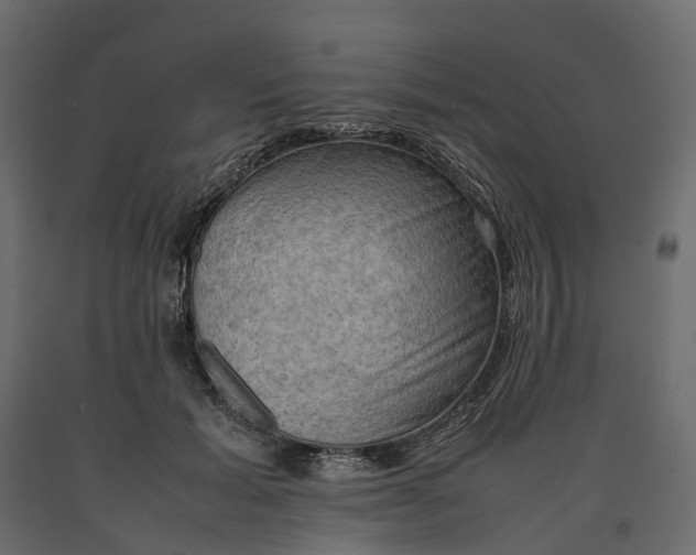 X0000090430605200708031131